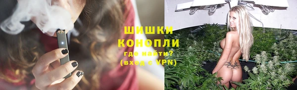 прущие грибы Алзамай