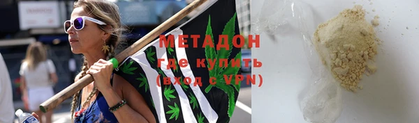 прущие грибы Алзамай