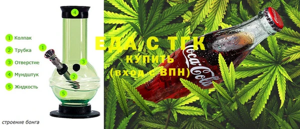 прущие грибы Алзамай