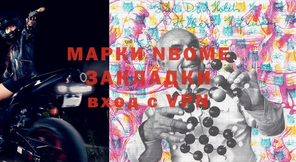 прущие грибы Алзамай