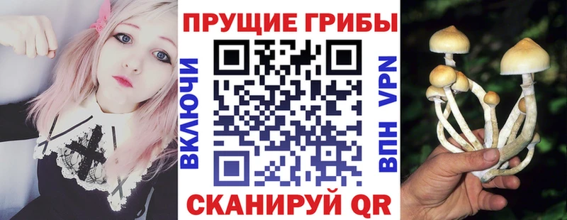 Псилоцибиновые грибы мицелий  Усинск 
